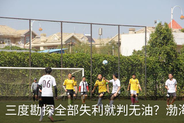 三度勘探全部失利就判无油？渤海深耕四十年，竟挖出全球最大油田