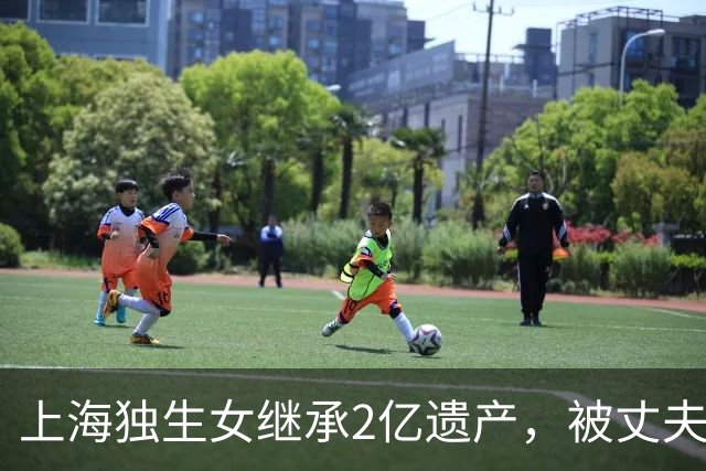 上海独生女继承2亿遗产，被丈夫起诉离婚要分钱，仨疑点细思极恐