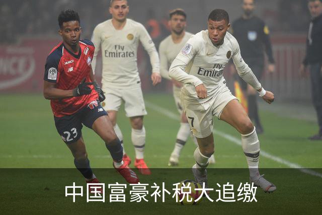 中国富豪补税大追缴