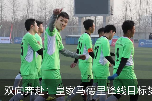 双向奔赴：皇家马德里锋线目标梦想转会西甲