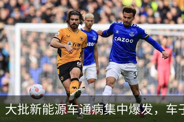 大批新能源车通病集中爆发，车子开着没问题，电池却直接废掉