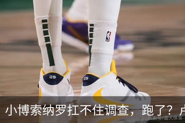 小博索纳罗扛不住调查，跑了？卢拉炮轰。美放话，允许其入境美国