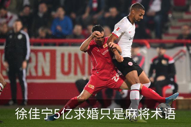 徐佳宁5亿求婚只是麻将术语