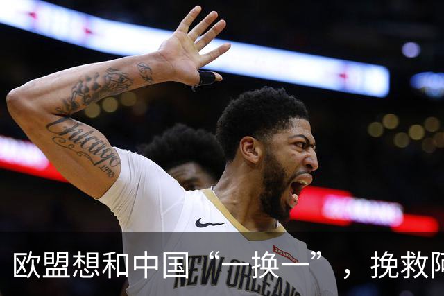 欧盟想和中国“一换一”，挽救阿斯麦企业，方案中国未必会同意