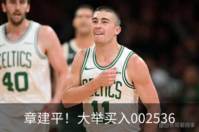章建平！大举买入002536