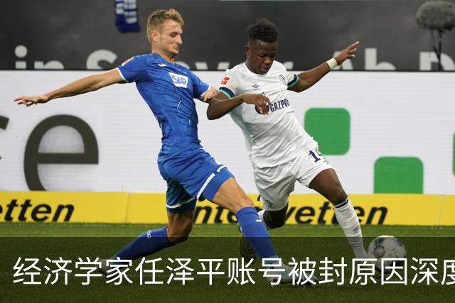 经济学家任泽平账号被封原因深度分析