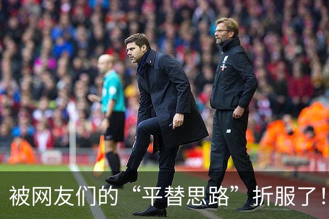 被网友们的“平替思路”折服了！不花啥钱，家里该有的都有